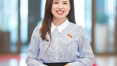 Az oktatási szektor konkrét mechanizmusokat és politikákat vár a 71. számú határozat végrehajtásához.