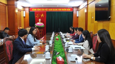 브라질 리우데자네이루 주에 있는 베트남 명예 영사를 접견하고 함께 일한 도 인민위원회 간부들