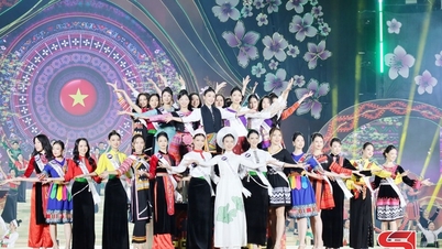 Würdigung intellektueller Schönheit, Schönheit und Verbindung, Förderung des Tourismus