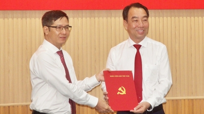 Chủ tịch UBND tỉnh Vĩnh Long giữ chức Phó Bí thư Tỉnh ủy Cà Mau