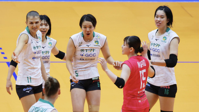 ทันห์ ถุ่ย สร้างชื่อด้วยการช่วยให้ทีมวอลเลย์บอลญี่ปุ่นคว้าชัยชนะ 2 สมัยติดต่อกัน