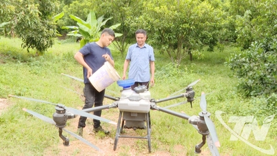 ร่ำรวยจากป่าที่วันฮาน