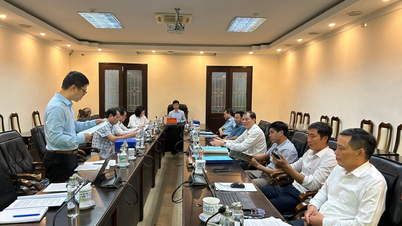 হাই ডুওং প্রদেশে (হাই ফং শহর) ভিয়েতনামের মান পূরণকারী হাইব্রিড সুগন্ধি ধানের জাত ৬ এর উৎপাদন উন্নয়ন করা হচ্ছে।