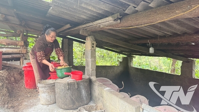 รักษาสุขภาพหมูให้แข็งแรงด้วยโปรไบโอติกจากธรรมชาติ