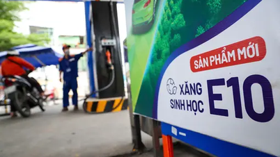 E10-Biokraftstoff soll ab Juni 2026 landesweit eingesetzt werden.