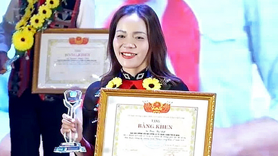 Усердно сея буквы в огромном лесу Тайзянг