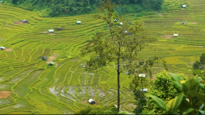 Vietnam, una sinfonía multicolor
