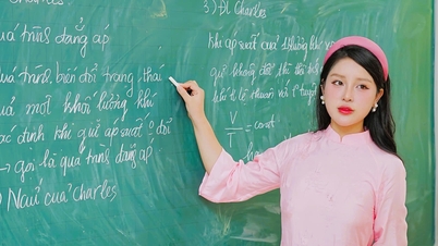 Meaningful November 20th wishes for teacher lover 2025