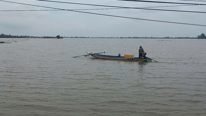 ទឹក​ស្រក​ចុះ​កសិករ​ទៅ​ស្រែ​ចាប់​ត្រី