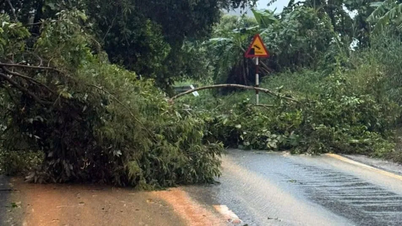 Khanh Hoa៖ ការបាក់ដីយ៉ាងធ្ងន់ធ្ងរលើច្រក Ngoan Muc
