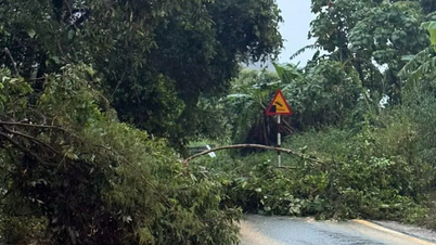 Khanh Hoa: Tindak balas segera terhadap hujan lebat, banjir kilat dan tanah runtuh.