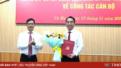Der Vorsitzende des Volkskomitees der Provinz Vinh Long, Lu Quang Ngoi, bekleidet gleichzeitig das Amt des stellvertretenden Sekretärs des Parteikomitees der Provinz Ca Mau.