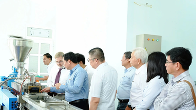 Transformar resíduos de equipamentos de pesca em recursos para promover uma economia circular.