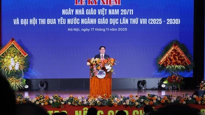 शिक्षा की गुणवत्ता में नवाचार और सुधार विशेष महत्व रखते हैं।