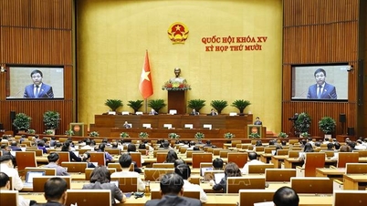 Trình Quốc hội cơ chế, chính sách đột phá phát triển giáo dục, chăm sóc sức khỏe nhân dân