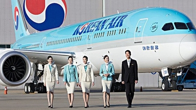 কোরিয়া থেকে দা নাং পর্যন্ত ফ্লাইটের সংখ্যা মোট আন্তর্জাতিক ফ্লাইটের ৩৫%।