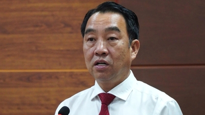 Encik Lu Quang Ngoi dilantik sebagai Pengerusi Jawatankuasa Rakyat wilayah Ca Mau.