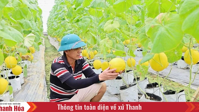 가난한 논에서 첨단 농업 생산으로의 전환점