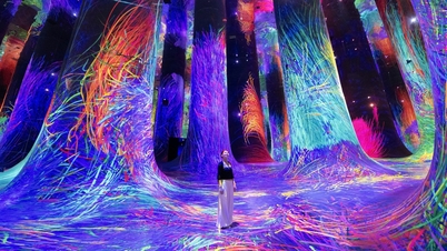 Βιετναμέζοι τουρίστες μένουν έκπληκτοι που μπαίνουν στον «σουρεαλιστικό κόσμο» στο Άμπου Ντάμπι