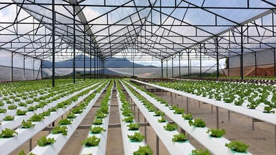 Tudomány és technológia: Fejlesztési tér megnyitása a mezőgazdaság számára