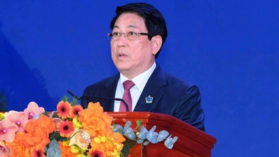 Le président Luong Cuong : « Mettre en place des infrastructures éducatives conformes aux normes internationales »