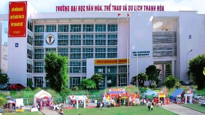 Thanh Hoa, bölgedeki üniversiteleri ve kolejleri yeniden düzenliyor