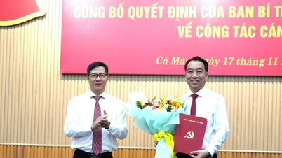 Ông Lữ Quang Ngời giữ chức Phó Bí thư Tỉnh ủy Cà Mau