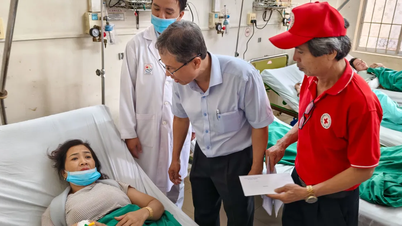 Nạn nhân vụ sạt lở đèo Khánh Lê: “Tôi sống sót thần kỳ”