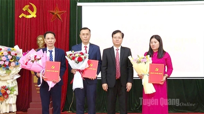 Голова організаційної ради провінційного партійного комітету Чан Куанг Мінь представив рішення щодо кадрової роботи в комуні Чионг Сінь.