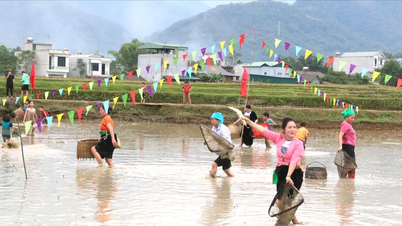 Exciting Winter Festival and Muong Kitchen Culinary Competition 2025 at Cau Thia