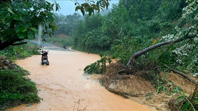 کوانگ تری: باران شدید باعث سیل، قرنطینه بیش از ۵۰ مکان و قطعی برق بسیاری از خانه‌ها شد