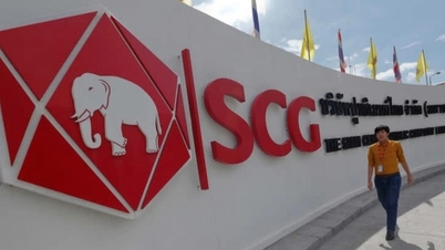 Doi giganți thailandezi sunt pe cale să încaseze aproape 2.000 de miliarde VND în dividende de la Binh Minh Plastics și Sabeco.