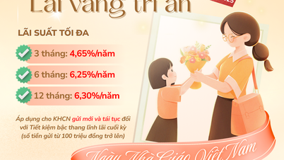 Ưu đãi “Mừng Ngày Nhà giáo - Lãi vàng tri ân” khi gửi tiết kiệm tại Bưu điện