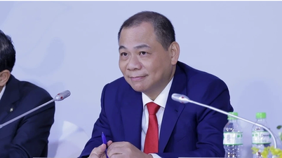 Cổ đông ngoại góp vốn tại công ty điện của tỷ phú Phạm Nhật Vượng