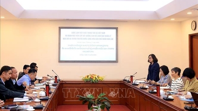 Укрепление обмена информацией по вопросам управления прессой и средствами массовой информации между Вьетнамом и Лаосом