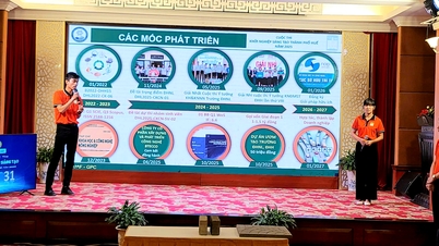 Dieciséis proyectos e ideas llegaron a la ronda final del Concurso de Startups Creativas.