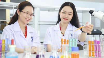 Nilai acuan Universitas Nguyen Tat Thanh: Jurusan kedokteran adalah yang tertinggi di semua metode