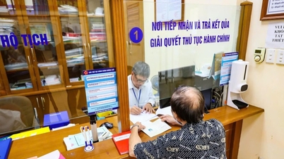 Спростити майже 800 процедур на основі даних станом на 1 січня 2026 року