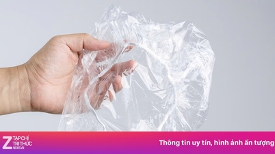 Efectele surprinzătoare ale căștilor de duș gratuite în hoteluri