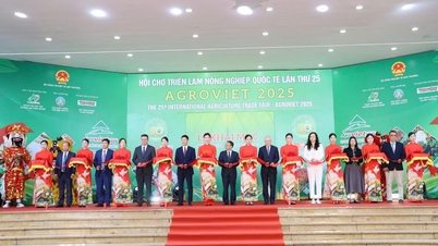 محصولات کشاورزی Son La مفتخر به شرکت در نمایشگاه AgroViet 2025 هستند.