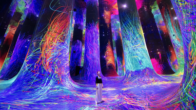 В'єтнамські туристи вражені, потрапляючи у «сюрреалістичний світ» в Абу-Дабі