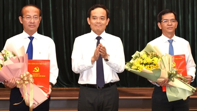 La ciudad de Ho Chi Minh anuncia el personal para el puesto de Presidente de la Comisión de Inspección del Comité del Partido de la Ciudad y Secretario del Distrito de Vung Tau.