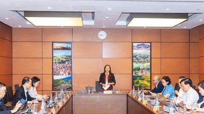 Mewujudkan koridor undang-undang yang unik dan cemerlang untuk pendidikan dan penjagaan kesihatan berkembang secara mendadak