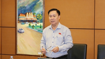 É necessário considerar a inclusão de um coeficiente salarial específico para assegurar o status profissional dos professores.