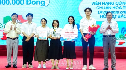 Das Projekt „Harte Kapseln mit standardisiertem Extrakt aus Fischsaucenblättern zur Unterstützung des Leberschutzes“ gewann den ersten Preis im Ca Mau Startup-Wettbewerb 2025.