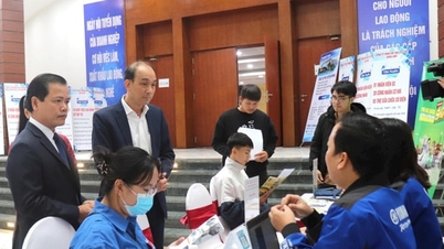 A Hanoi Városi Állásinformációs Portál várhatóan november 26-án nyílik meg.