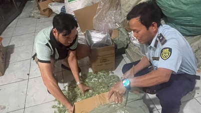 Phát hiện và tạm giữ hơn một tấn bánh kẹo không rõ nguồn gốc, xuất xứ