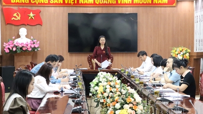 Comisia Economico-Bugetară a examinat proiectul de rezoluție care urmează să fie prezentat celei de-a 22-a sesiuni a Consiliului Popular Provincial.