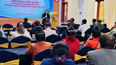 Improving e-commerce application skills and digital transformation for cooperatives