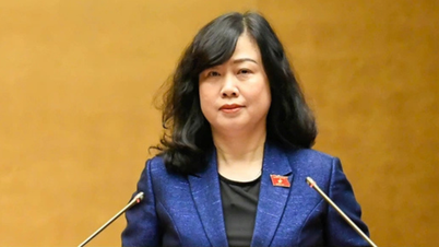 জনগণের উপর চিকিৎসার বোঝা কমাতে জাতীয় পরিষদে কিছু বাস্তব নীতিমালা উপস্থাপন করুন।